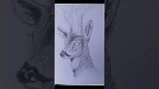 Roebuck sketching  Summer 2025 #roedeer #deerstalking #deerhunting #wildlifephotography #nature