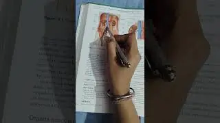 Anatomy and physiology chapter urinary system #ross wilson #sem 1st#book reading 