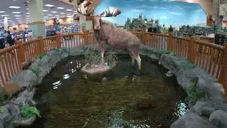 The king of outdoor stores, Cabela's in Dundee, MI.