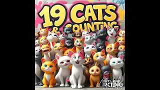 19 Cats and Counting Episode 148 Lisa Schermerhorn, Energy Medicine Practitioner