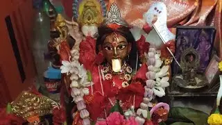 বকুল অমাবস্যার পুজো 🙏 