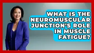 What Is The Neuromuscular Junction's Role In Muscle Fatigue? - All About Anatomy Answers