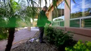 Arizona's Best Termite Control Service - Arizona Pest Solutions - Free termite Inspections