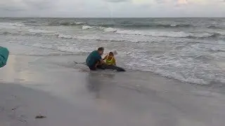 Beachgoers help rescue stranded whale