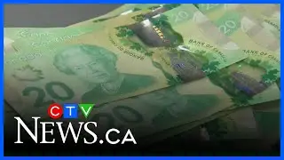 Price at pumps plummet, but how will it impact Alberta's bottom line?