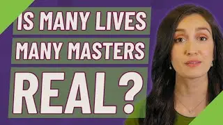 Is Many Lives Many Masters Real?