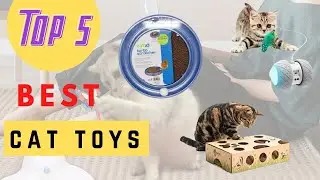 Cat Toys - Best Cat Toys Review 2021