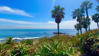 Solo Guitar & Emotional Piano Music with Ocean Background of Laguna Beach