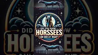 Horses Have Night Vision! 🌙👀 Can Horses See in the Dark? 🐴#shortfeed #didyouknow #animals #horse