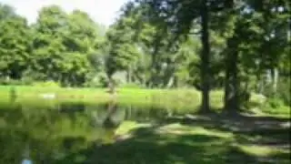 Children's Island