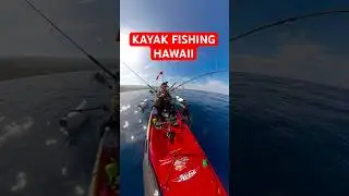 3 days camping, fishing, diving, gyotaku fish printing plus epic catch and cooks! 🤙🏻
