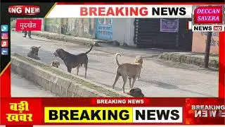 मुदखेडमध्ये कुत्रा-दहशत! 😱 नागरिक भयभीत, पाहा व्हिडिओ! | Mudkhed Dog Terror