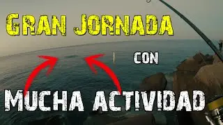 🎣GRAN JORNADA🎣 a SPINNING en ❄️INVIERNO❄️ | Pescando con MANURVFISHING