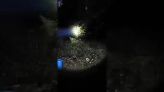 Modlite Systems PLHv2 Flashlight
