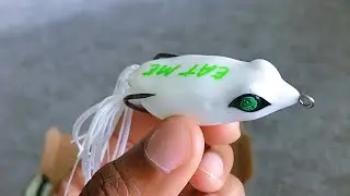 Catch 10x more Bass on a Topwater Frog