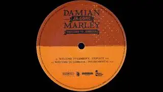 Damian Marley - Welcome To Jamrock (Instrumental)