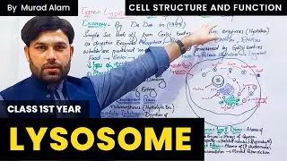 Lysosome l Biology 1st year in Urdu/Hindi l Chapter 1 l Grade 11 l The  Home of Science