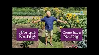 Método sin labranza: suelo más sano, menos maleza y cosechas más abundantes