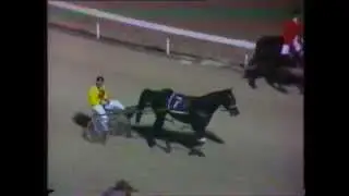 1983 Interdominions - Pacers' 3rd Heat, Alexandra Park, Auckland: Popular Alm