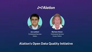 Alation Brief &mdash; Open Data Quality Initiative