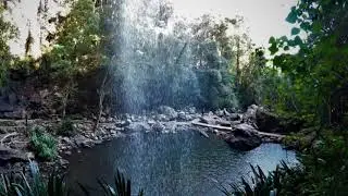 Springbrook National Park - Purling Brook & Twin Falls Circuits.