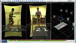 Force and PiG model overlay in Vicon Nexus during running