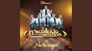 No Te Vayas