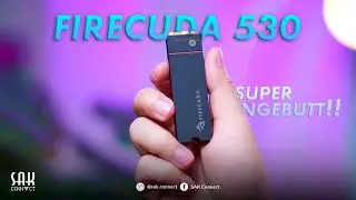 Seagate FireCuda 530 Heatsink SSD M.2 NVMe Gen 4