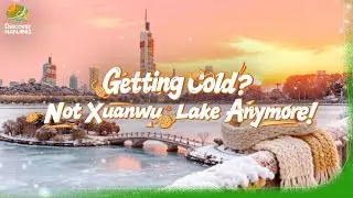 Xuanwu Lake in Nanjing Gets a Cozy Yarn Makeover!