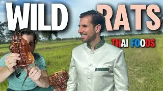 Cooking Wild Rats in Isaan  🇹🇭  Unique Local Delicacies!