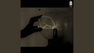 Strange Attractor