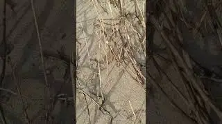 Природная охра