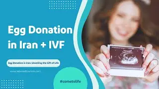 ivf + egg donation in iran #eggdonation