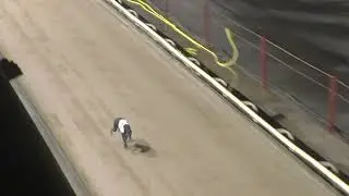 Greyhound 2026- 19.01.2026 Trial 6