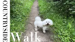 Countryside Walk | Pudding stone cottage | picnic 🧺
