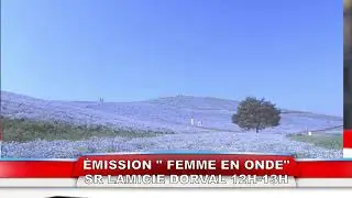 FEMME EN ONDE SR LAMICIE DORVAL 30JAN2026 -NO COPYRIGHT OF ANY SONG PLAYING IN BACKGROUND