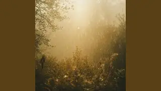 Soft Waves