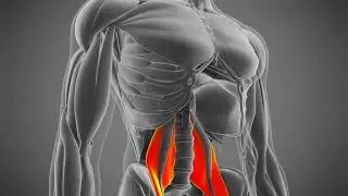 Psoas Muscle EXTREMELY POWERFUL!!! (Energetically Programmed)