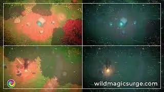 Wild Magic Surge | Animated Looping Forest Runes Battlemap