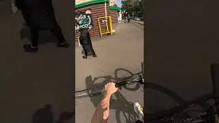 Держим баланс