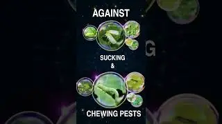 A Revolutionary Insecticide - Coming Soon !