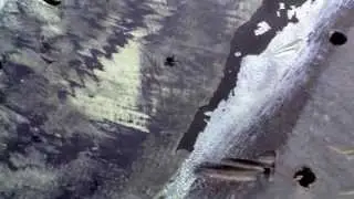 IMGA0001