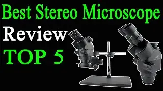 Top 5 Best Stereo Microscope On 2024