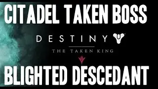 Destiny TTK Blighted Descendant , The Citidal Taken Boss, Petra Quest Taken Assault