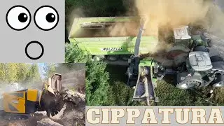 PURE SOUND CIPPATURA DI PLATANI SECCHI E FRESATURA RADICI / CHIPPING OF DRY PLATANES