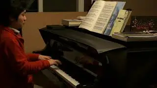 Wenyu Shen plays Schumann The Happy Farmer Op.68 No.10 in Beijing 2013
