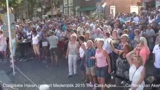 The Cats Aglow Haven concert Medemblik 2015 compilatie