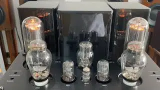 Willsenton R-800i 300B 805 Single-ended Class A tube Integrated amplifier+ SoundArtist SH10B Speaker
