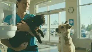 The Stray Kitten Who Froze&mdash;Until a Dog Broke the Rules 🐶❄️ | Emotional Funny Story