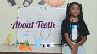 About the Teeth, Structure of Tooth, Types of Teeth, Tooth Decay and Oral Hygiene | # Tooth 